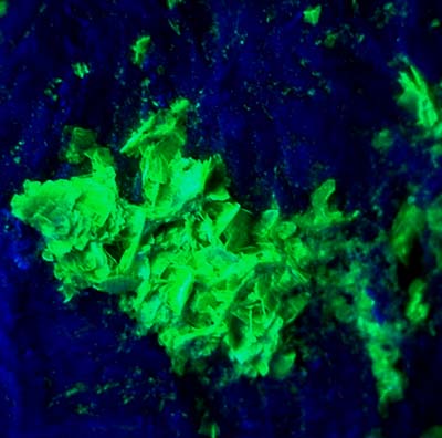Cristalli di Uranocircite in luce UV.