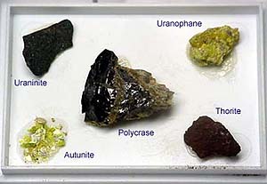 Vari minerali esposti in una unica vetrinetta sigillata.