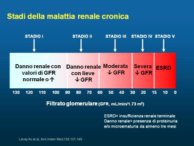 Insufficienza Renale Cronica