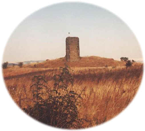 torre.jpg (18560 byte)