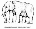 illusione zampe elefante