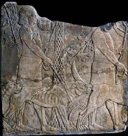Assurbanipal.Caccia con cani