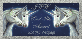 JWW Best Silver Site Award