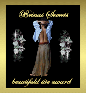 Brinas Secrets "Beautiful Site Award"