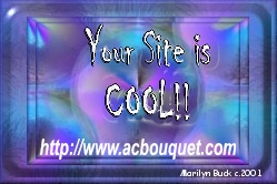 acbouquet.com "Cool Award"