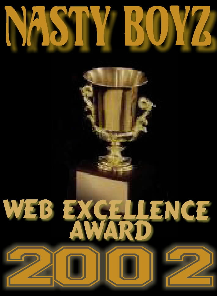 Nasty Boyz "Web Excellence Award 2002"