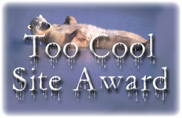 "Too Cool Site Award"