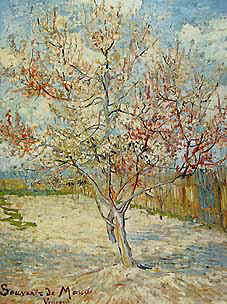 Peschi in fiore- Vincent van Gogh -1888