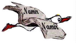 NAMIR, sito di attualità politico-sociale