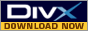 Download DivX Now!