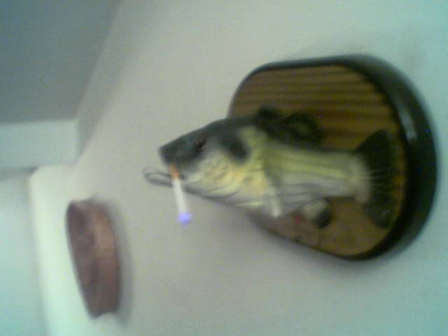 pesce fumatore!!
