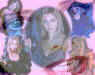 Buffy_rosa_wallpaper.jpg (81743 byte)