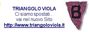 Triangolo Viola - Il sito