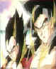 07) Goku ssj4 e Vegeta ssj4 .jpg (31886 byte)