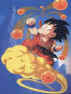 Goku guarda le sette sfere del drago che che volano via.jpg (93279 byte)
