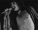 Steve Tyler