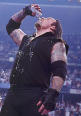 The Undertaker