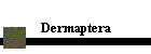 Dermaptera