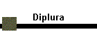 Diplura