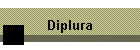 Diplura