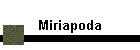 Miriapoda