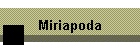 Miriapoda