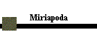 Miriapoda