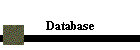 Database