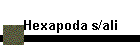 Hexapoda s/ali