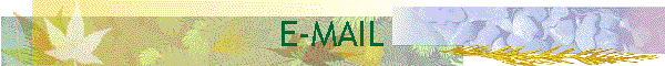 E-MAIL