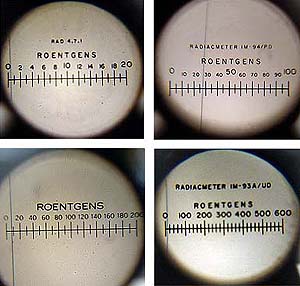 Scale interne di alcuni Dosimetri elettrostatici.