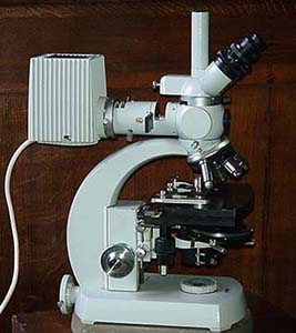 Fluoroscopio Zeiss Standard WL