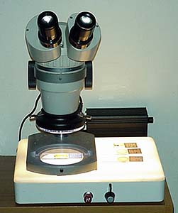 Stereomicroscopio Olympus SZ.