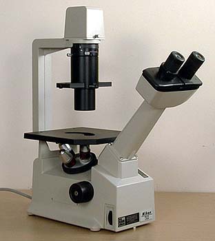 Il microscopio biologico invertito Nikon TMS, a contrasto di fase.