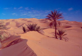 Libia oasis