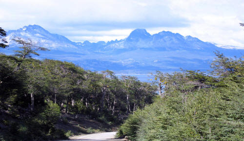 Tierra del Fuego-Patagonia-Argentina