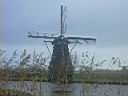 kinderdijk1.jpg