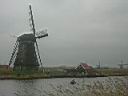 kinderdijk2.jpg