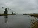 kinderdijk3.jpg