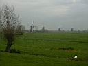 kinderdijk5.jpg