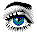 eye3.gif (3205 byte)