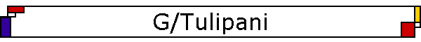 G/Tulipani