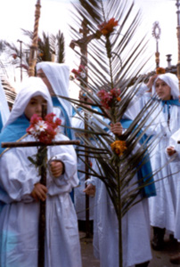 un momento della festa delle Palme Clicca per vedere la foto