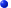 Redazione Web