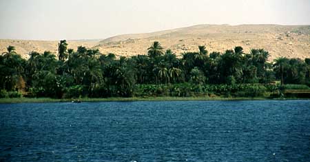 Oasi lungo il Nilo