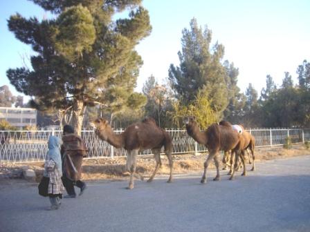 Lashkargah on the road