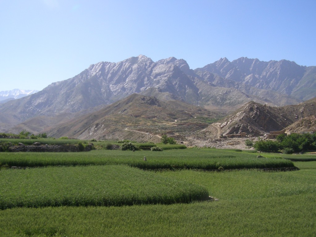 Panjshir fields