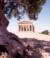 Il tempio di Segesta.JPG (98730 byte)