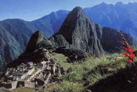 Machu Picchu.JPG (18413 byte)