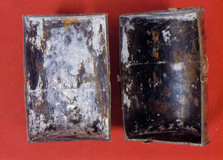 Muffola per endoprotesi in resina  (1940).